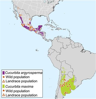 Targeted Sequencing Suggests Wild-Crop Gene Flow Is Central to Different Genetic Consequences of Two Independent Pumpkin Domestications